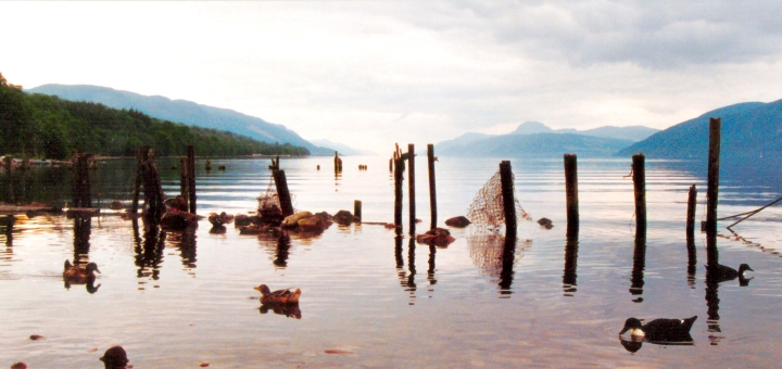 Loch Ness north shore. Photo credit: Jeff Osborn