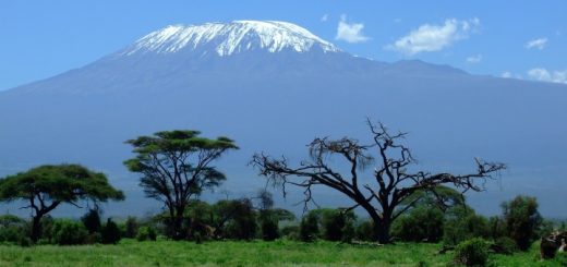 Mount Kilimanjaro. Photograph by Greg Montani