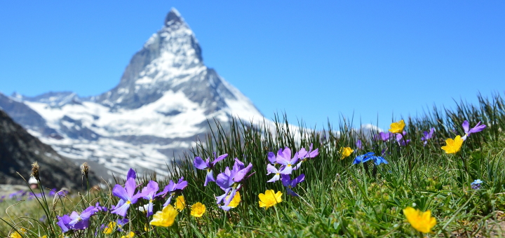 The dramatic Matterhorn. Photograph by Claudia Beyli