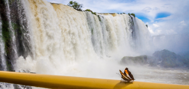 The magnificent Iguazú Falls. Photo credit: Poswiecie at Pixabay